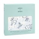 Stargaze-Stellar Silky Soft Dream Blanket 2